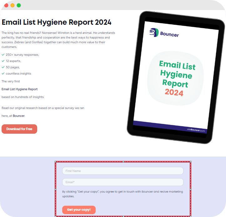 Bouncer's Email List Hygiene Report.