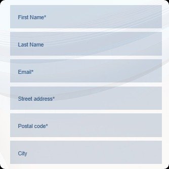 online application form.